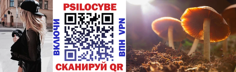 Галлюциногенные грибы Psilocybine cubensis  Озёры 